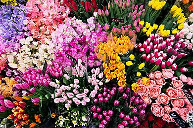 肉鸽恐怖新作《深四目朝生-阴阳之巫女-》公布