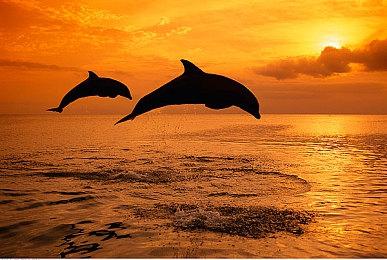 《魔兽世界》10.0新资料片直播公布活动时间确定