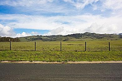 《原神》新角色演示视频「宵宫：真夏飞焰」